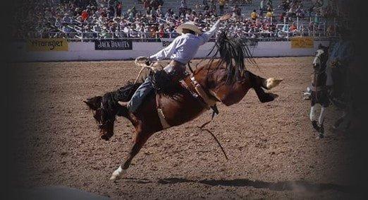 Bac goes to the rodeo and pays for over 30 clients who would not normally be able to attend!!