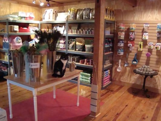 Cat Supplies and Retail