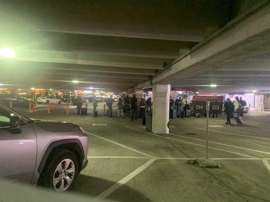 A lot of people waiting for rental cars