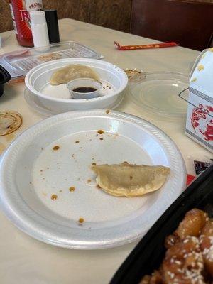 Both pan fried and steamed dumplings- SO GOOD!