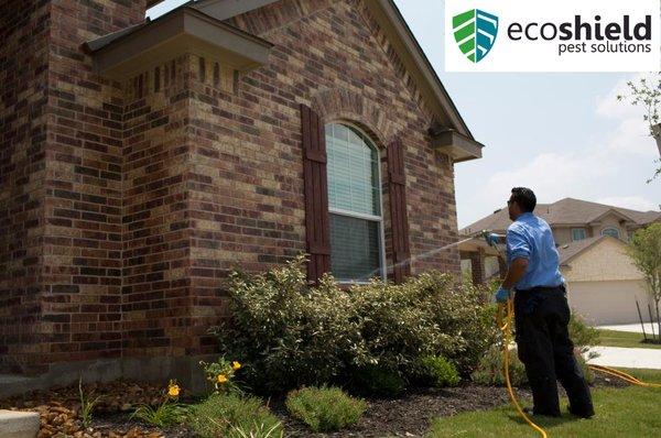 EcoShield Pest Solutions