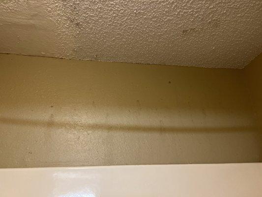 Black moldy looking spots all over bathroom