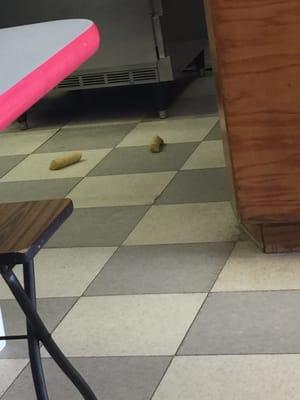 Egg rolls on the floor...