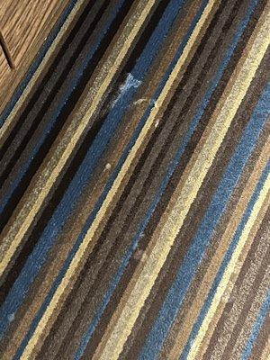 Nice stains on the carpet in room 312