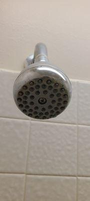 Shower head corroded and sprays sideways also.