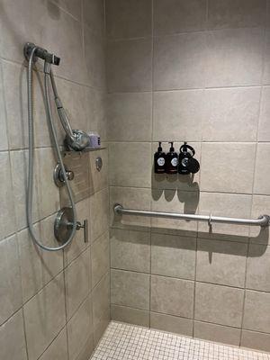 Showerheads are broken showers are often dirty; this is the ADA compliant stall and shower head and rail are both broken.