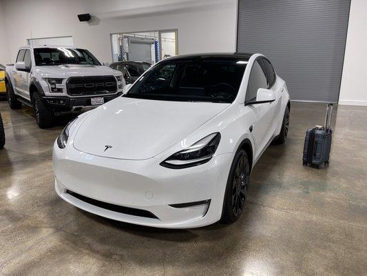 Tesla Model Y with STEK Dynoshield front PPF(paint protection film) installed.