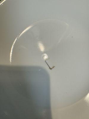 Staple found in tres leches cake cream.