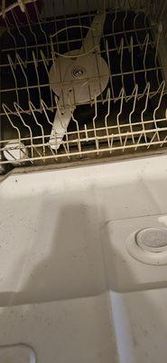 Every time I ran the water in the kitchen sink, it drained into my dishwasher and it never went down.