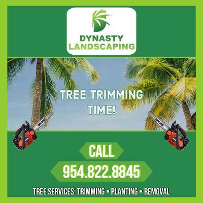 TREE TRIMMING TIME! Call Us For A Free Quote! 954.822.8845