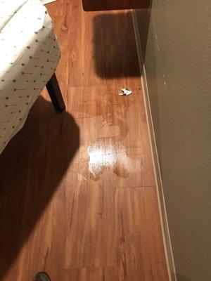 Coke spilled on the floor and trash under piss stained mattress