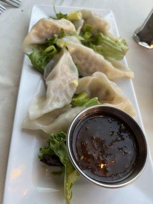 Pot sticker appetizer with sauce