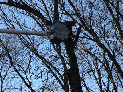 Turner Tree Service