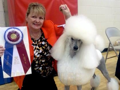 Best In Show!