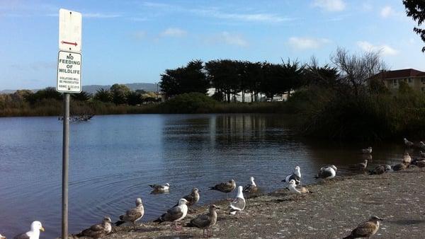 Roberts Lake/ Laguna Del Rey