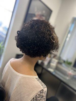 Short curly hair cut