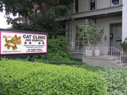 Cat Clinic