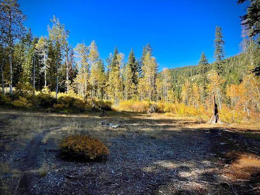 Nelson Creek Trail