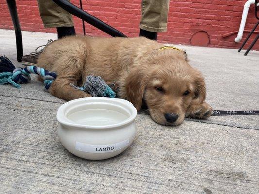 Patio (Dog friendly!)