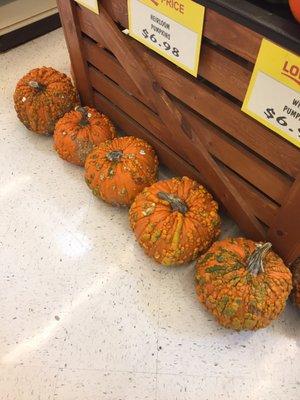 Ingles is ready for Fall, these are some ugly pumpkins