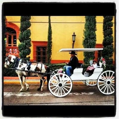 Horse Carriages for all events!