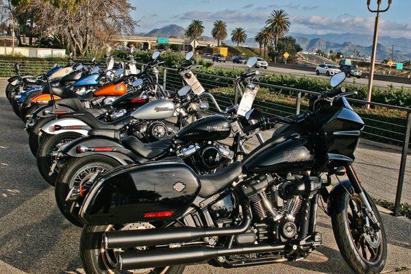 One of many Pre-Owned and or Certified Harley-Davidsons in stock! Dyna's, Softails, Baggers, Grand Touring, Sportsters, Trikes and many more