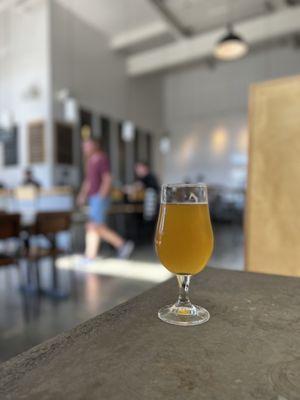 Holy Mountain Brewing