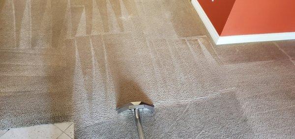 From. AL Cleaning Services.  before & after.