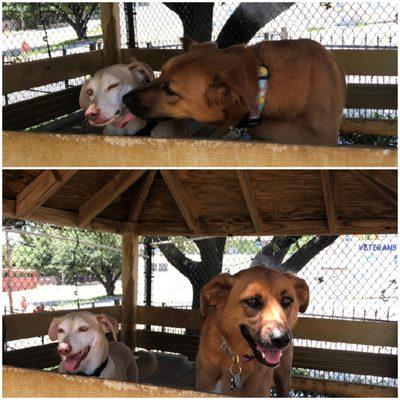 unexpected kisses at day camp