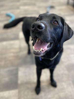 Daycare smiles!