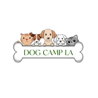 Dog Camp LA's trusted neighborhood Dog Walking and Pet Sitting services.