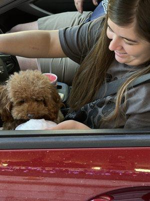 Our pups love their free "pup cup"!