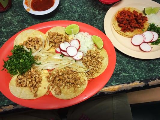 Pollo mini tacos and a Chorizo Taco