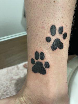 Paw Prints of my dogs