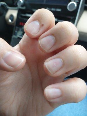 They did not cause the cut on my index finger, but they did cut them and not shape the nails.