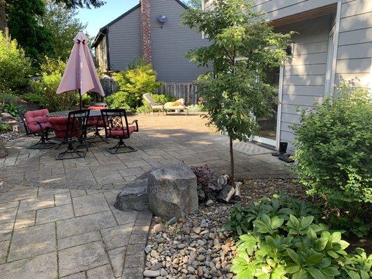 Backyard has paver "rooms" framed by vegetation. (Dog snuck onto chaise lounges for photo shoot!)