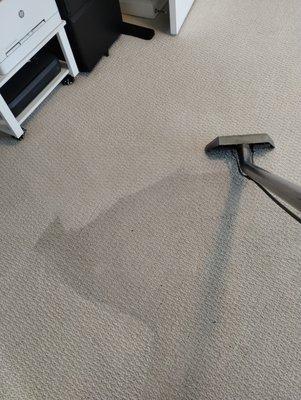 Carpet cleaning