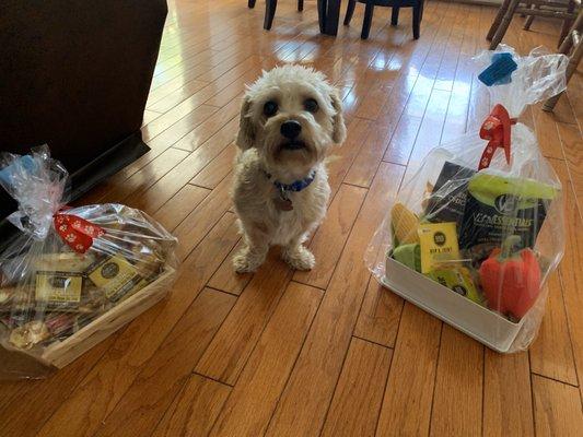 Buddy loves his gift baskets he won from a raffle at their grand opening!!