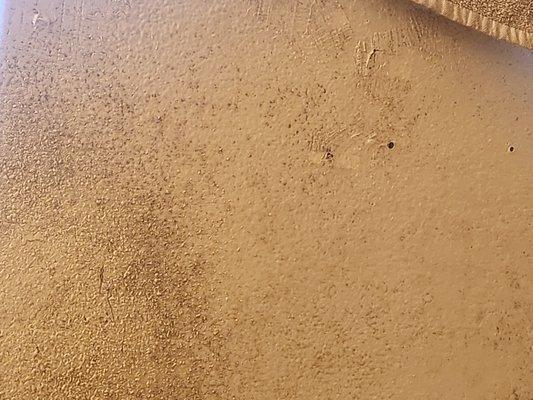 Mold on bathroom wall