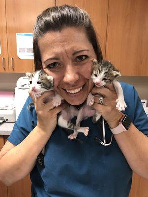 Yes, working at a vet office is great. There are days where we get to hug kittens.