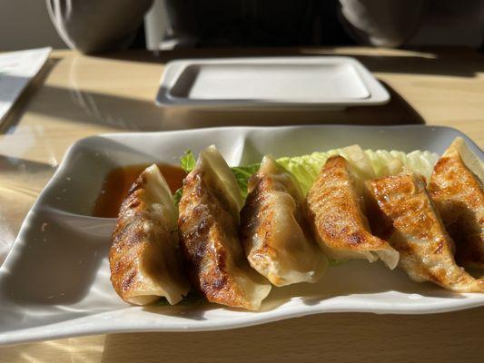 Gyoza appetizer