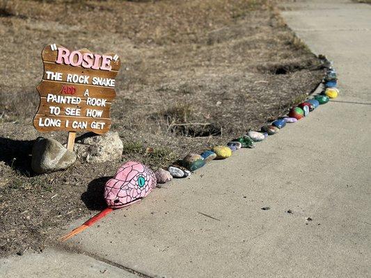 ROSIE the rock snake. I love this idea!!