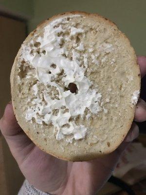 Thanks for the toasted bagel with cream cheese