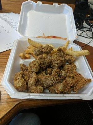 Basket of Gizzards and Fries!