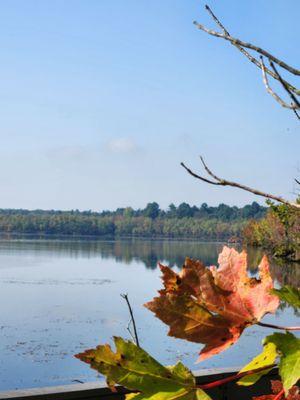 Beaver Lake Nature Center