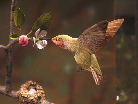 One of Bob Spear's carvings: a Ruby-throated Hummingbird. (The lighting is slightly dim to protect the carvings)