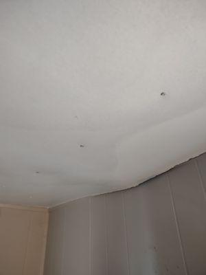 this is a picture of the living room celling caving in from a leak that took 2 months to fix... black mold is 100% there