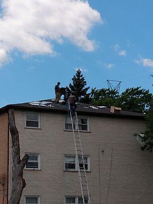 Tear off the entire roof and install the new shingle roof system