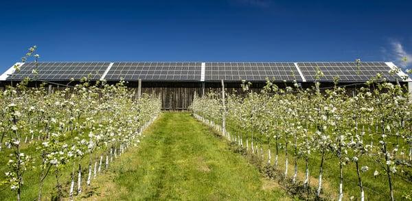 Farm Solar PV array installed by Northeast Solar. northeast-solar.com