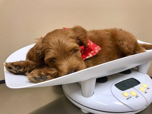 Dr Boyd and staff were so gentle, our babe fell asleep on the scale.